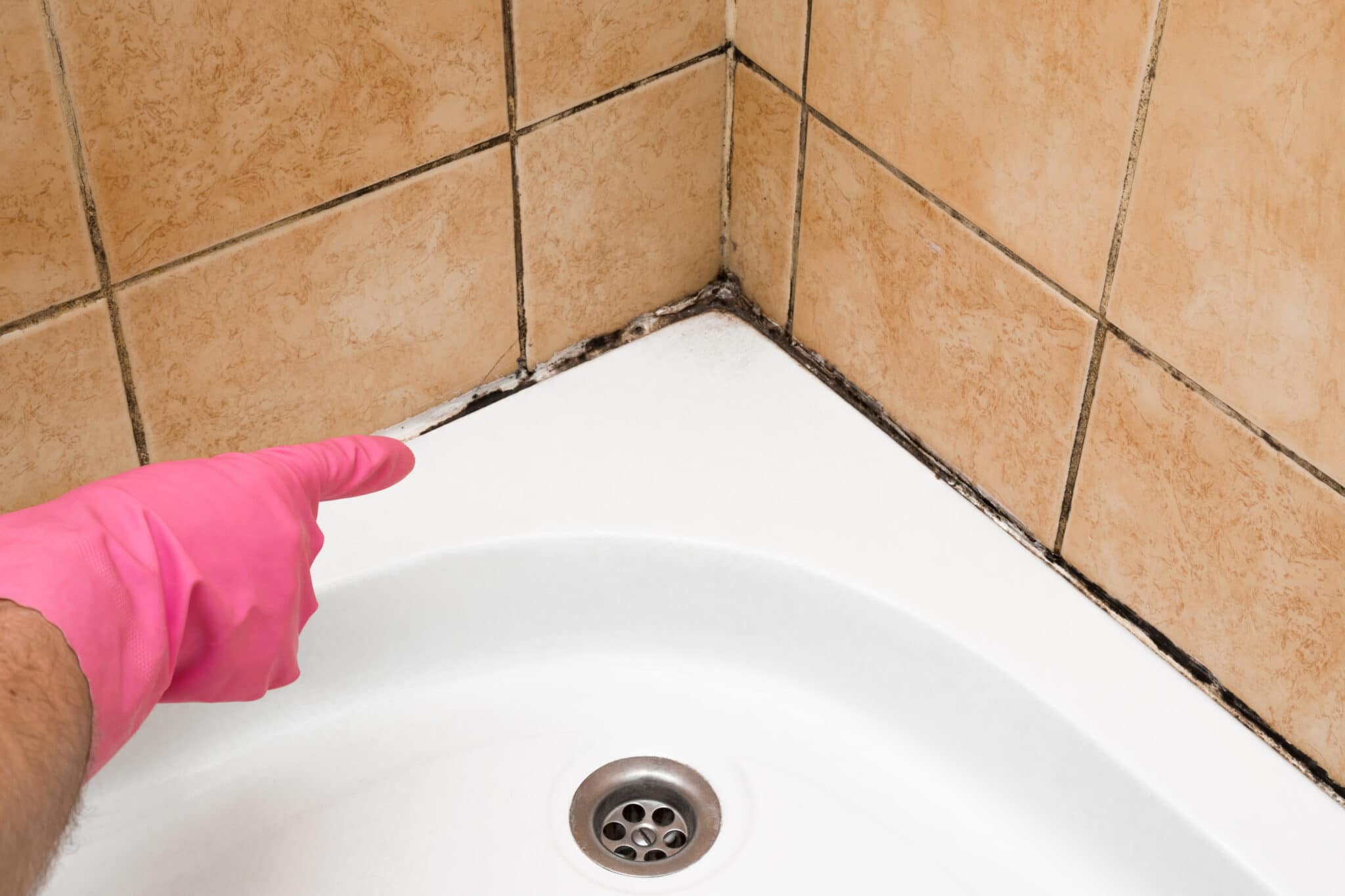 How Do You Get Rid of Mould in Bathroom