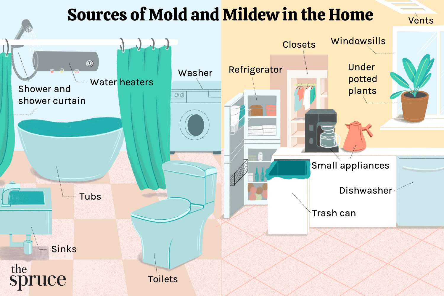 How to Get Rid of Mildew Smell under Bathroom