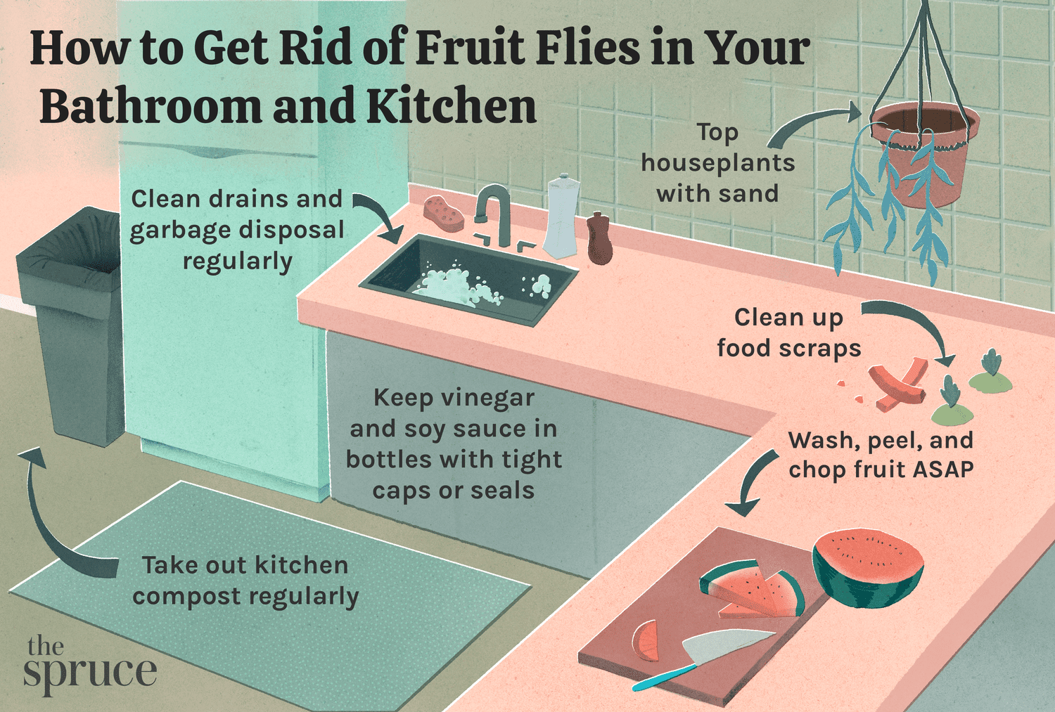 Little Flies in Bathroom