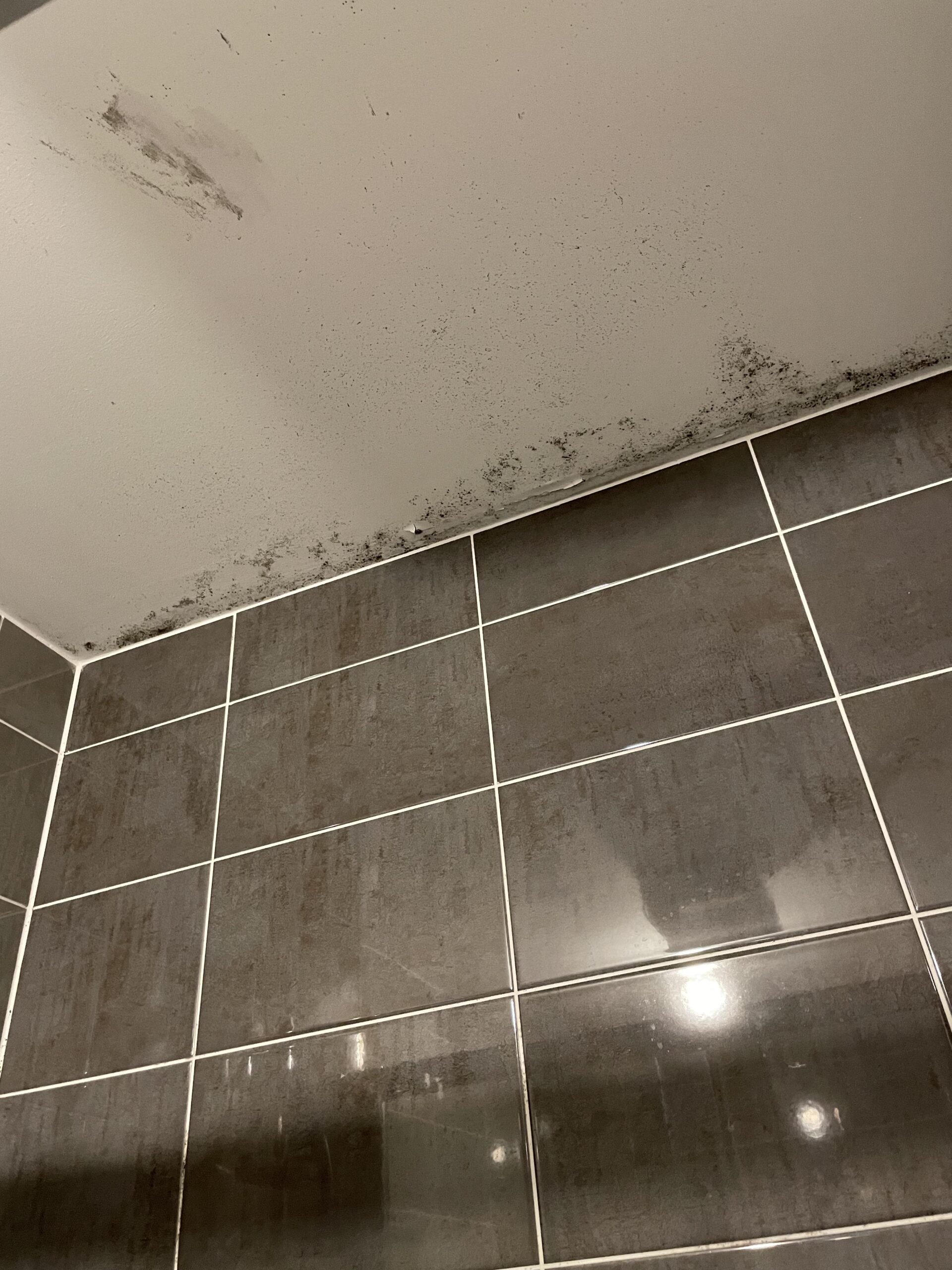 Mildew on Bathroom Ceiling